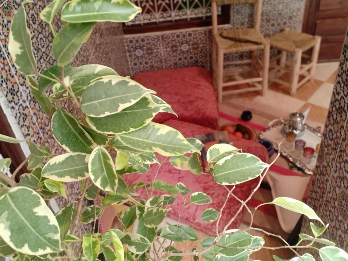 Riad Patrice Marrakesh Ngoại thất bức ảnh